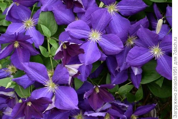 Поздравляю!!!