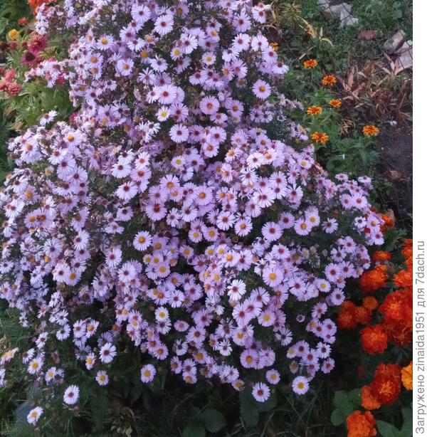 Сентябринки