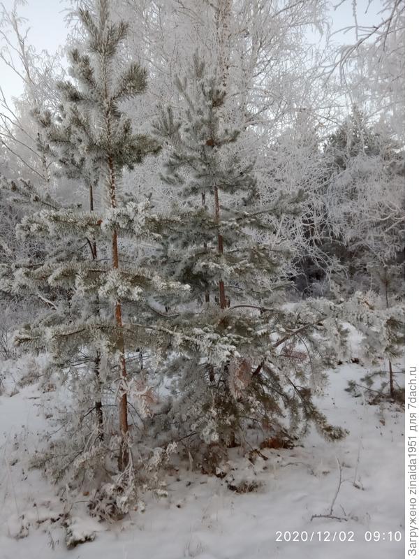Фотографии на прогулке с &quot;палочками&quot;