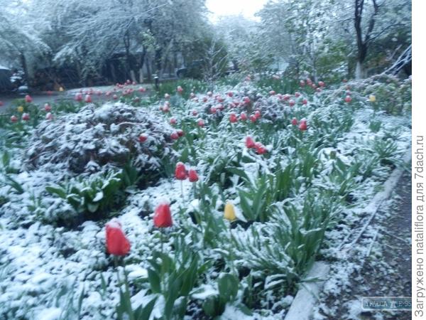 Это Одесса в мае 2017 год...