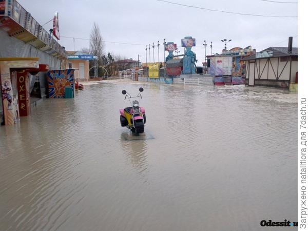 Это катаклизмы прошлого лета в Одессе (2016 год)