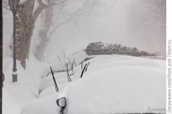Зима 2017 года в Одессе, как и в прошлом году походила на ... Норильск ;-)