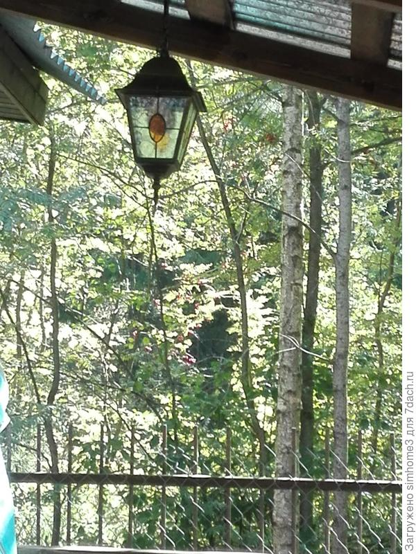 Фонарик над общим столом на террасе баньки — очень уютно!