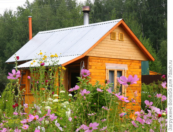 Наша банька на дачке