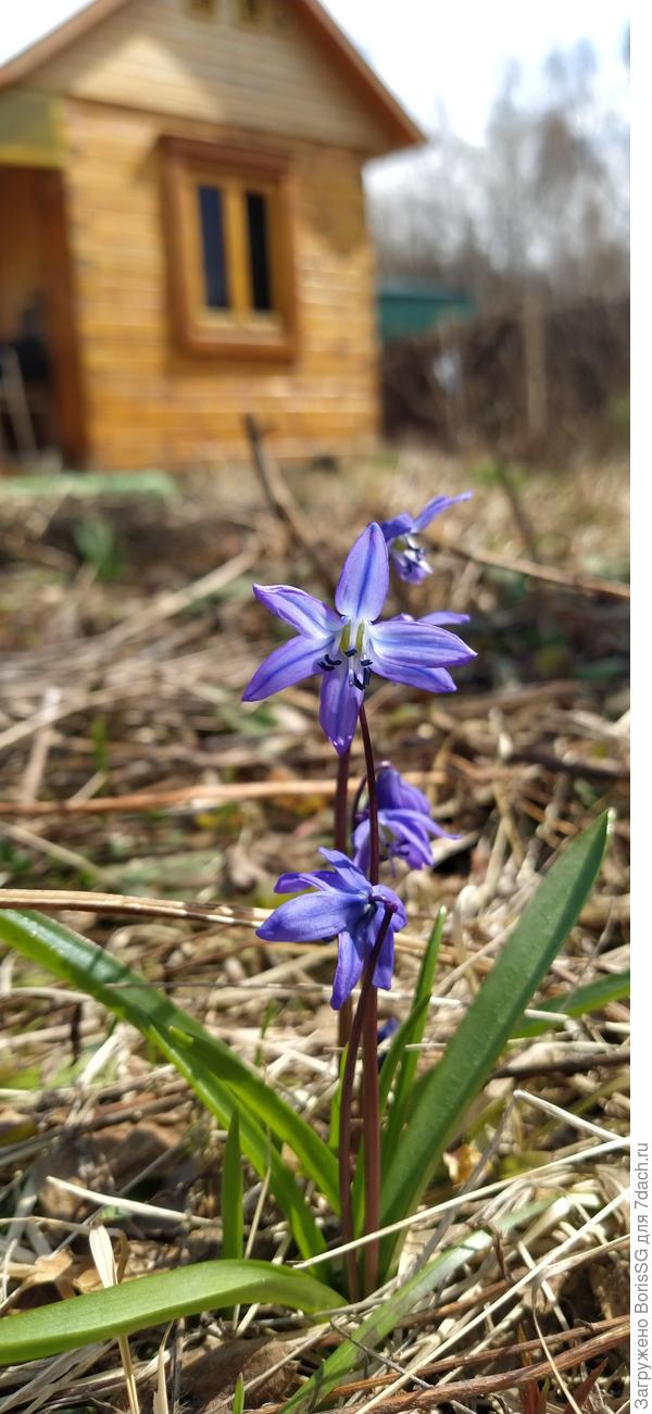 уже совсем скоро