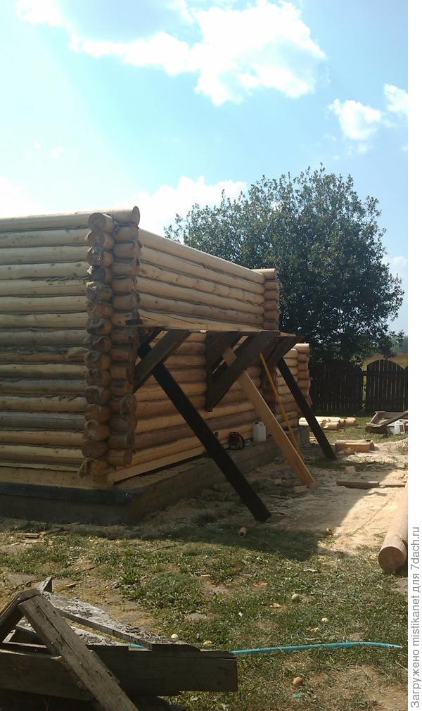 Растёт всё выше