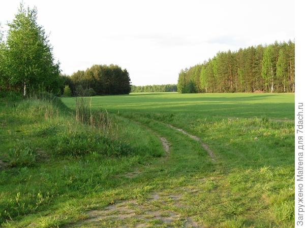 Красота и пыли нет.
