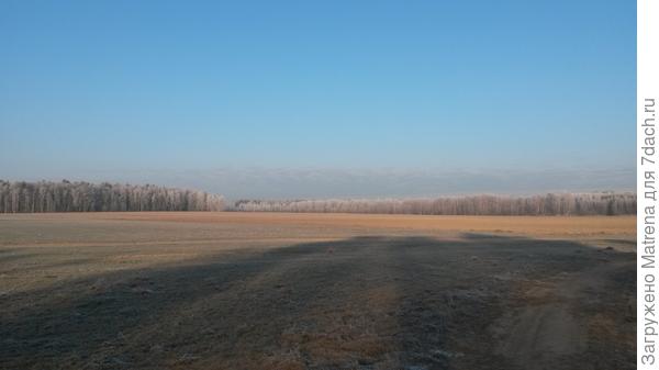 Морозец прихватил