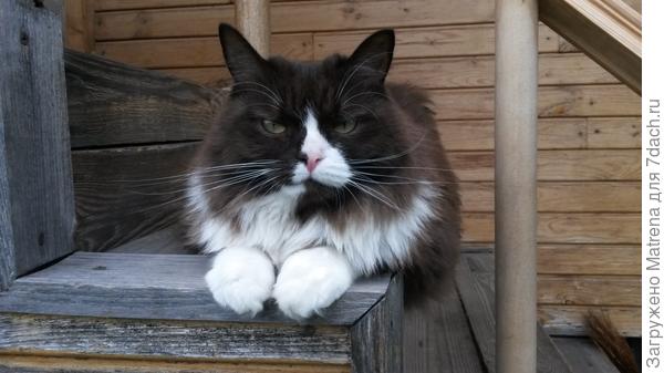 Серьезна как никогда...