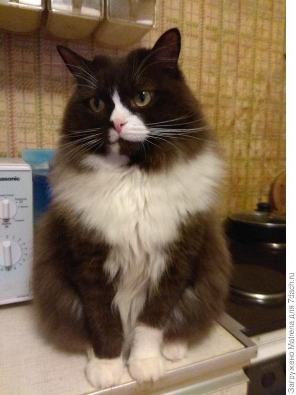 Это наша Матрена