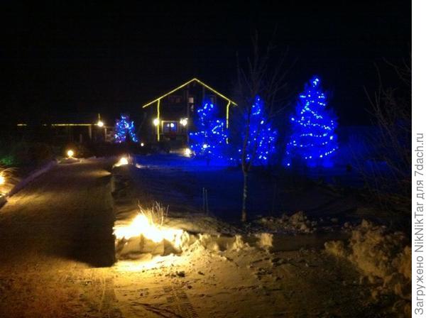 Ёлочки-сосёночки