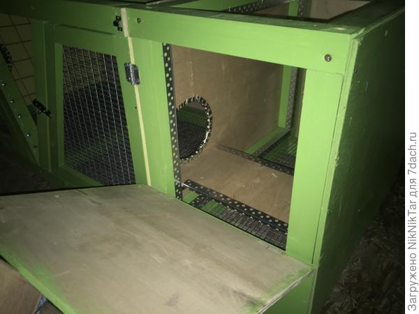 маточник