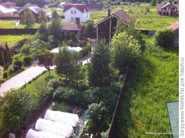 Попросили ласточку зафотать..