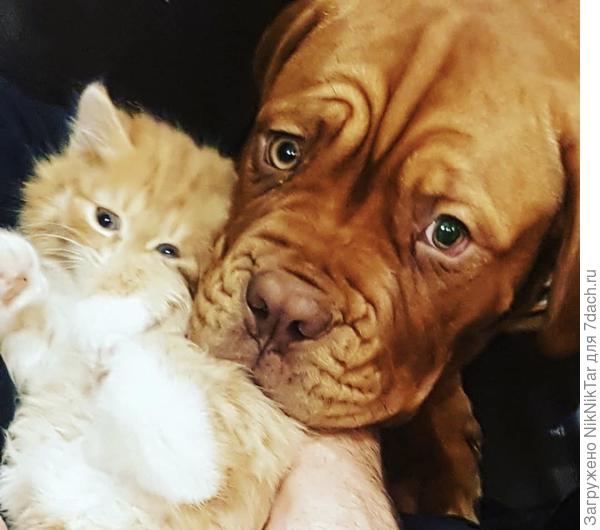 Поколение next ... сохраняет традиции ))