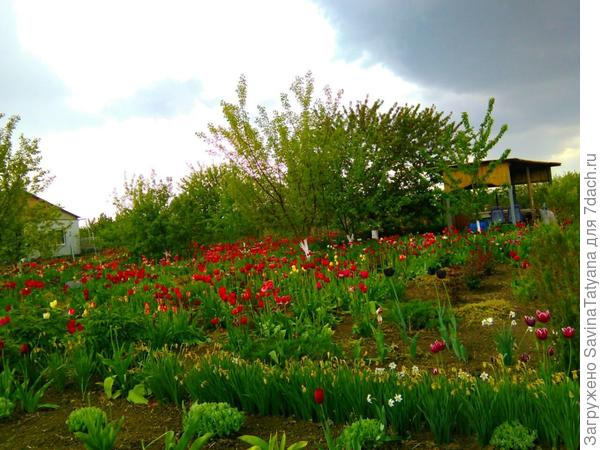 С другого ракурса