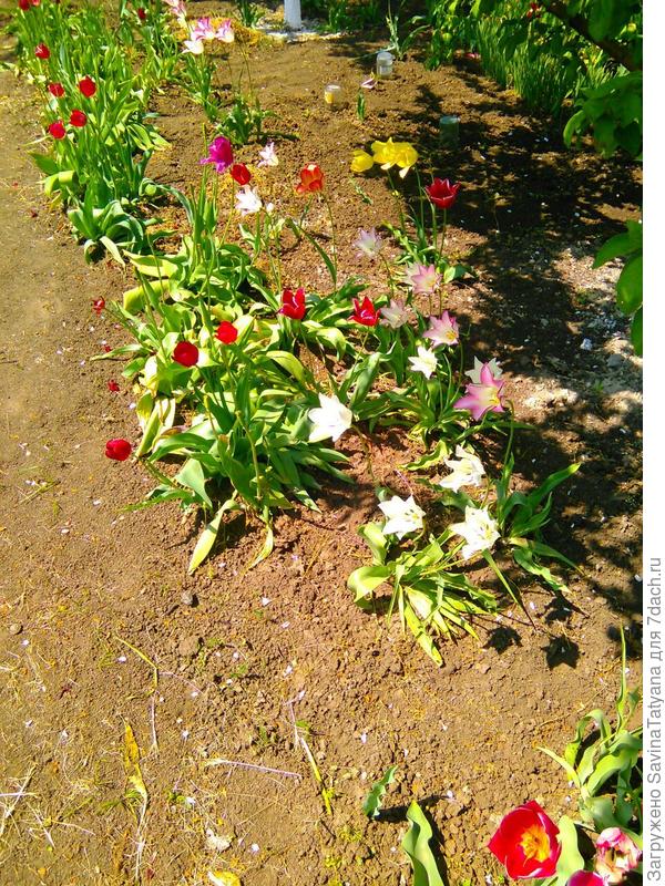 Крупным планом