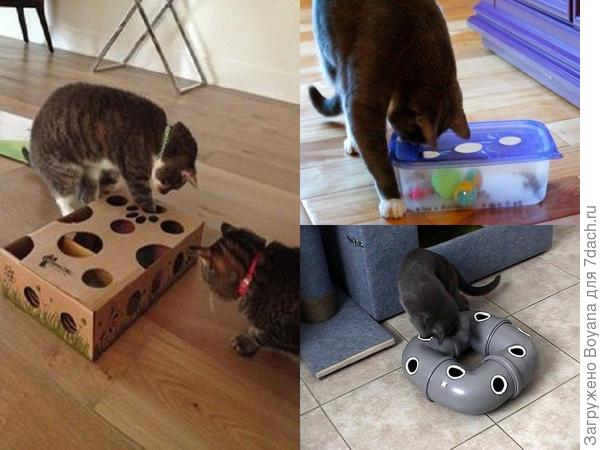 Интерактивная игра для кошек. Фото с сайта https://ru.pinterest.com/