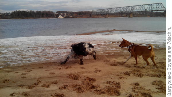 И поиграть с ними на славу!
