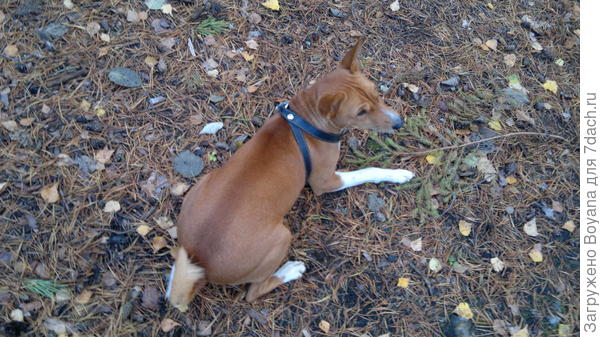 Пока путешествовали, незаметно подкралась осень.