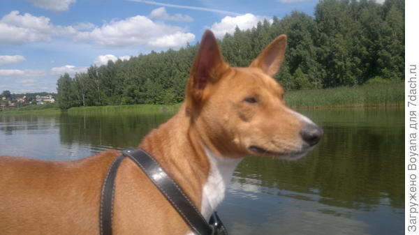 Что там, за поворотом?