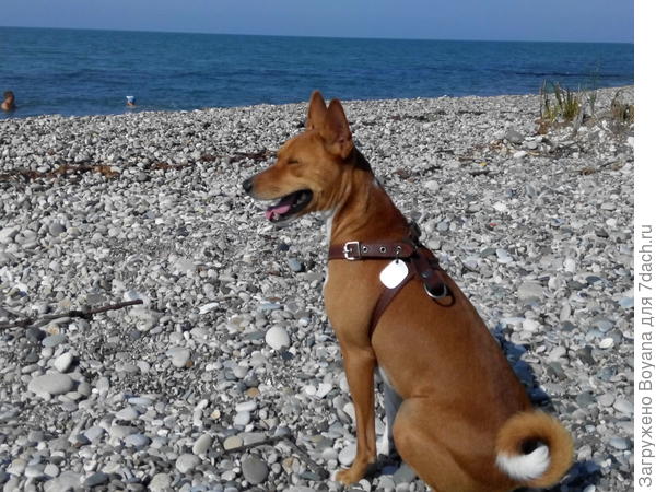 Самое синее в мире Черное море мое.