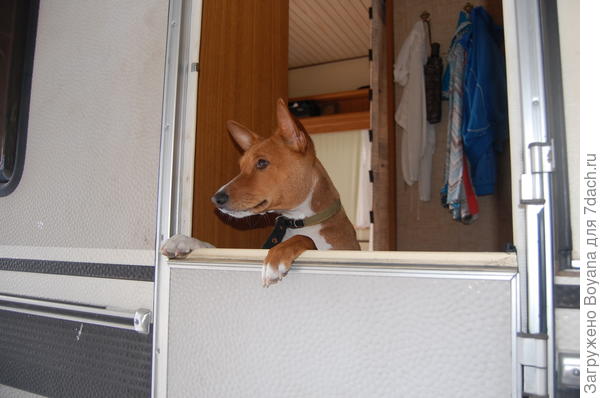 В этом домике на колесах я - главный хозяин.