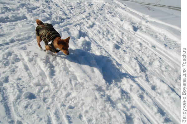 Чтобы не замерзнуть, главное - двигаться.