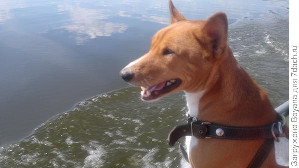 Купаться я не буду, а вот на лодке прокачусь с большим удовольствием!