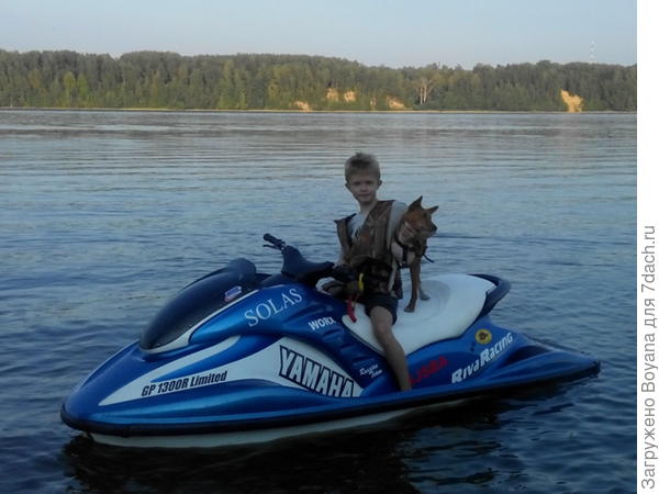 Да что там лодка, с любимым хозяином я и на гидроцикле отлично погоняю!
