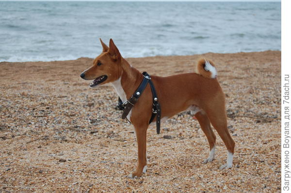 На берегу куда спокойней.