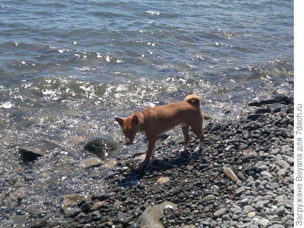 А водичка-то соленая...