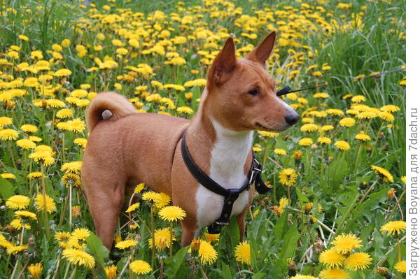 Но какой бы долгой не была зима, весна все равно придет!!!
