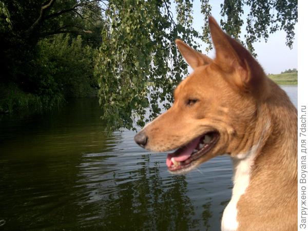 Бас - речной бог.