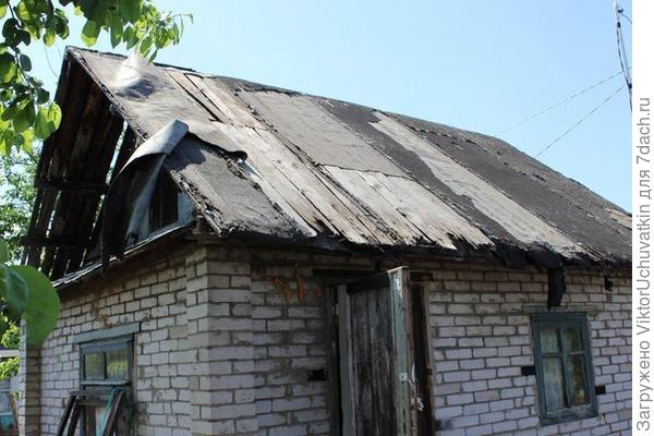 Крыша, торчащая из «джунглей»