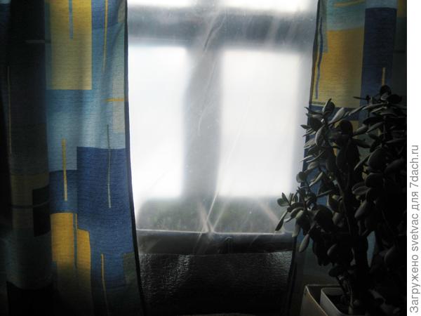 Цветам пришлось переехать на табуреточку