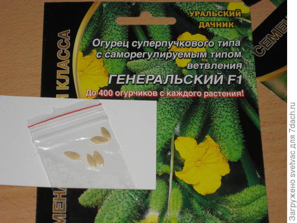 семена