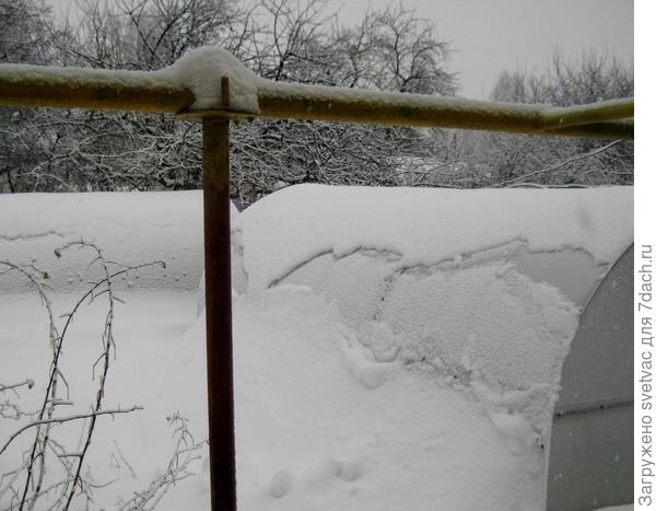 Вот такой сюрприз ждал меня днём! Пришлось откапывать не только тропинки, а вообще всё!