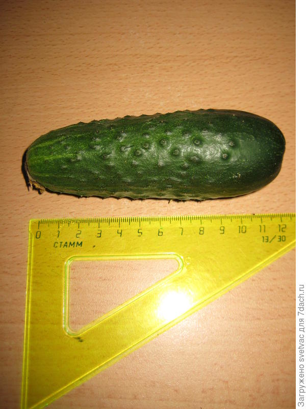 №1