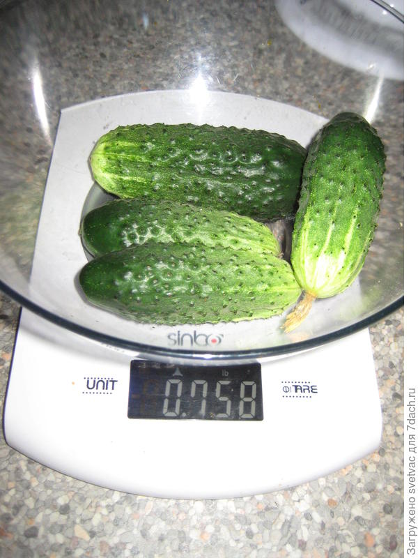 №1