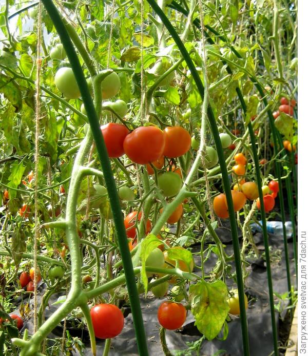 С другой стороны