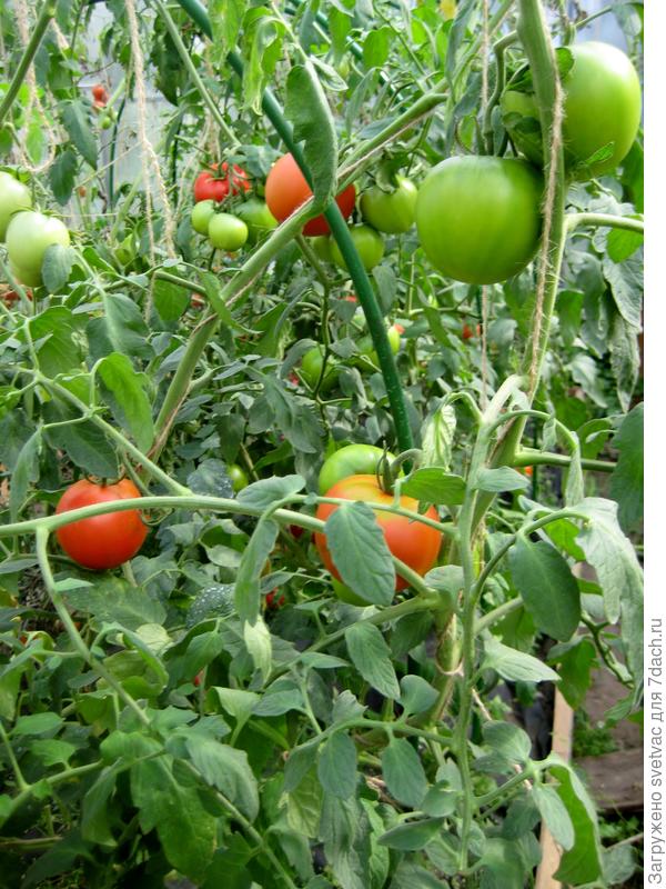 Это Виктория от "Ильинишны"