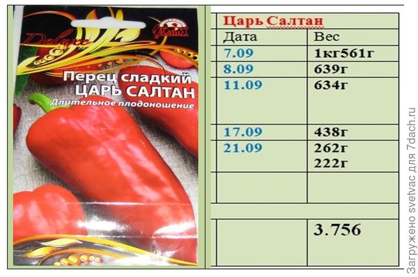 перец грунтовой и болгарский в чем отличие. болгарский перец витамин с на 100г. овощи в граммах. вес болгарского перца. перец в упаковке.