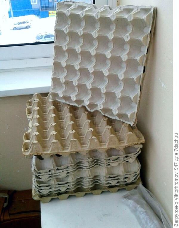 Долго мы не могли от них избавиться.Но в этом году мы их победили при помощи ячеек из под яиц.В магазине их выбрасывают.Вечером мы раскладывали их вдоль рядов с картофелем,а утром &quot;вытряхивали&quot;слизней &quot;полчищами.К осени их не стало.На фото новые заготовки,борьба продолжается...