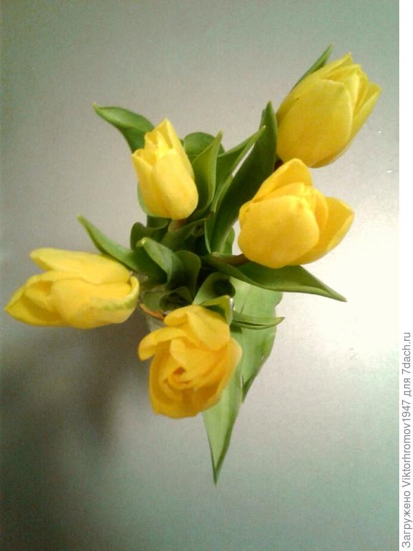 Поздравляю женщин с праздником весны!Желаю здоровья и удачи!