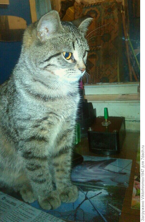 Я,остаюсь здесь!На даче.