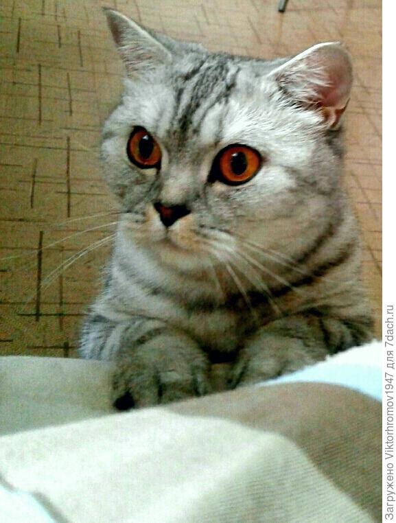 Вставай.Проспишь рыбалку!