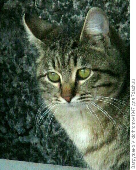 Я вернулся.