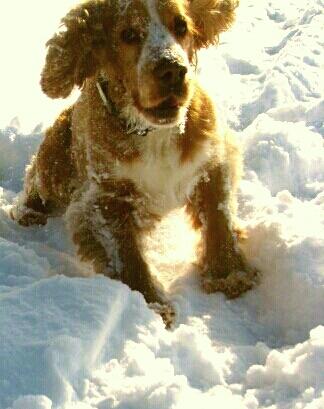 Это же,первый снег!Вы куда?...