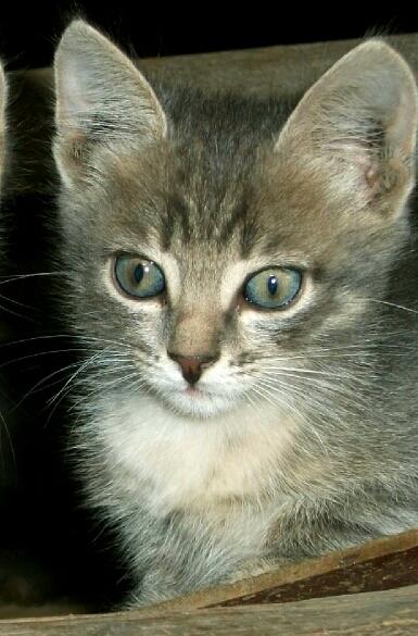 Как,прекрасен!Этот мир!