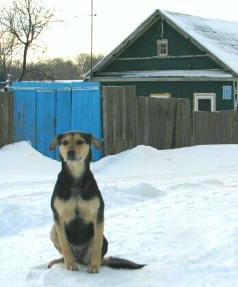 Я обязательно дождусь!